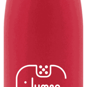 SayWhat Bottle 500ml